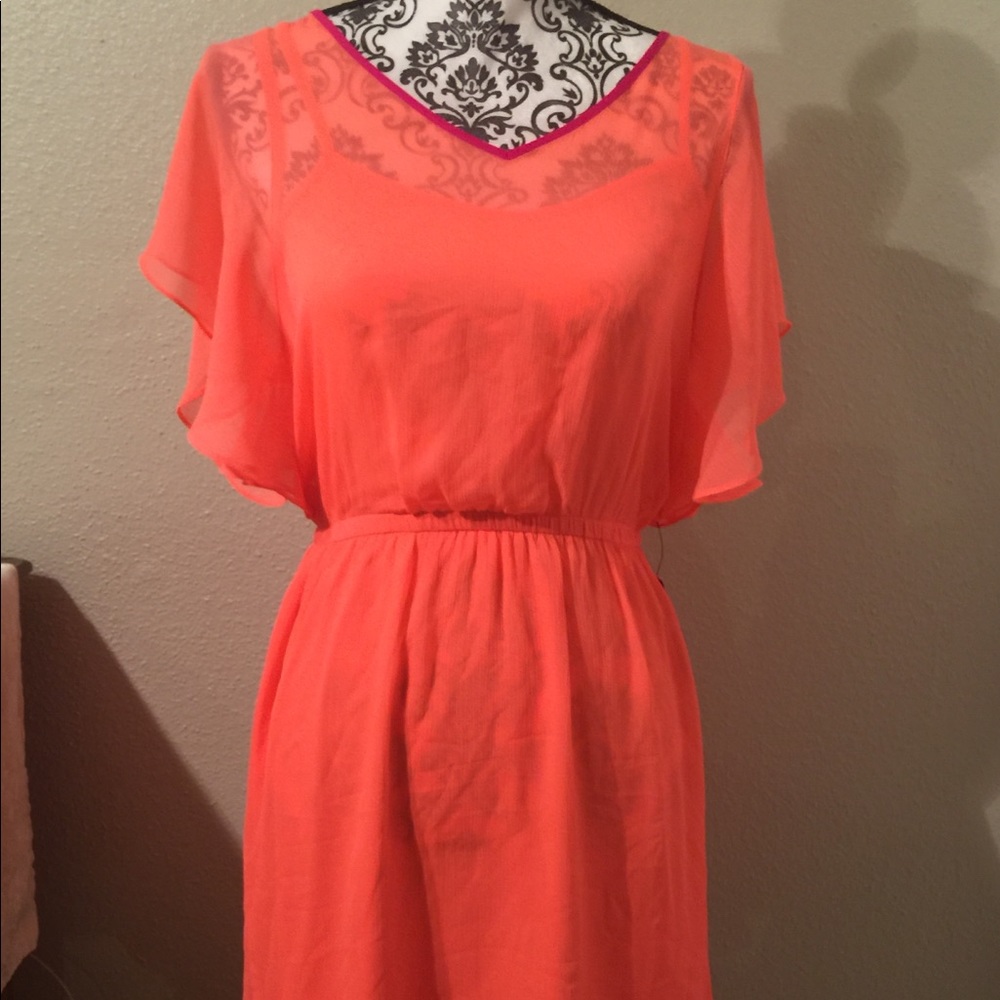 Express Dress XS